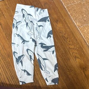 Beluga Whale Patterned Baby Joggers